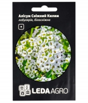 Изображение товара Семена цветов Алиссум Снежный ковёр